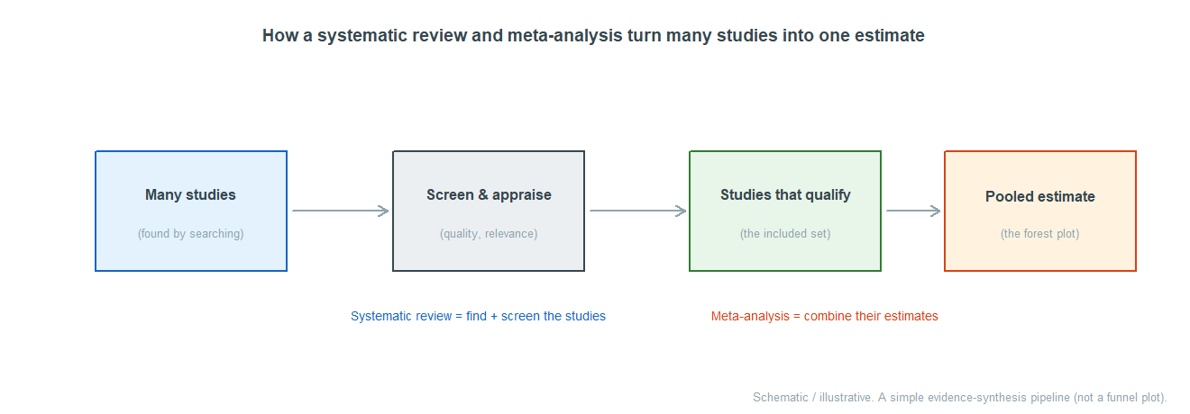 Four boxes connected by arrows. Many studies (found by searching), then screen and appraise (quality, relevance), then studies that qualify (the included set), then pooled estimate (the forest plot). A note says the systematic review is find plus screen the studies; another says the meta-analysis is combine their estimates. Labeled a schematic evidence-synthesis pipeline, not a funnel plot.