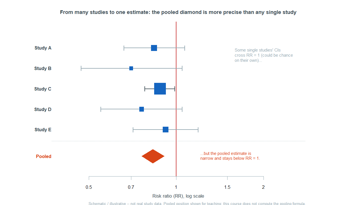 A schematic forest plot of five studies A to E on a risk-ratio log scale 0.5 to 2 with a red line of no effect at 1. Several study confidence intervals cross the line (grey); squares vary in size by precision. At the bottom an amber pooled diamond sits left of the line and is narrower than any single study. Notes: some single studies' CIs cross risk ratio 1 and could be chance on their own; the pooled estimate is narrow and stays below 1. Labeled schematic, not real data; the course does not compute the pooling formula.