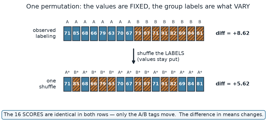 Two rows of the same sixteen score-boxes. The top row is the observed labeling, first eight tagged A and last eight tagged B, with difference in means +8.62. An arrow labeled 'shuffle the labels' points down to a second row with the identical sixteen values but the A and B tags reassigned, giving difference +5.62. A caption notes the values are identical in both rows; only the tags moved.