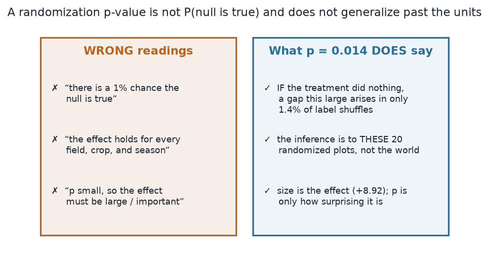 Two-column diagram. Left, labeled WRONG readings, lists three crossed-out claims: a 1% chance the null is true, the effect holds for every field crop and season, and p small so the effect must be large. Right, labeled what p equals 0.014 does say, lists three checked claims: if the treatment did nothing a gap this large arises in only 1.4% of shuffles, the inference is to these 20 randomized plots not the world, and size is the effect plus 8.92 while p is only how surprising it is.