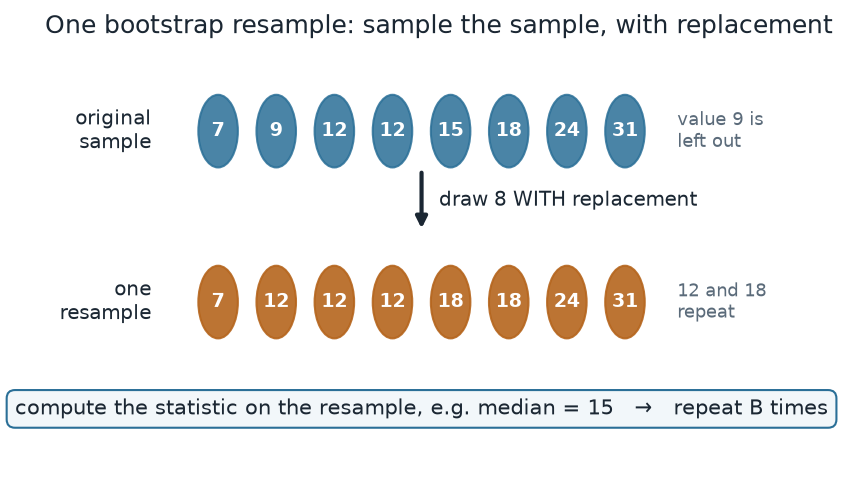 Schematic: a top row of eight sample values (7, 9, 12, 12, 15, 18, 24, 31), an arrow labeled 'draw 8 with replacement', and a bottom row showing one resample (7, 12, 12, 12, 18, 18, 24, 31) in which 12 and 18 repeat and 9 is omitted; the resample median is 15.