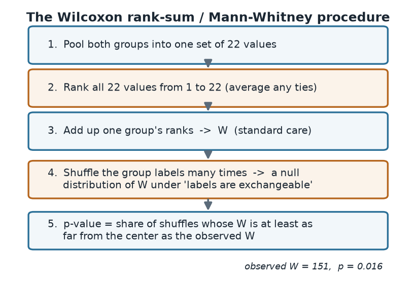 A five-box vertical flow diagram. Box 1: pool both groups into one set of 22 values. Box 2: rank all 22 values 1 to 22, averaging ties. Box 3: add up one group's ranks to get W for standard care. Box 4: shuffle the group labels many times to build a null distribution of W. Box 5: the p-value is the share of shuffles whose W is at least as far from the center as the observed W. A footnote reads observed W = 151, p = 0.016.