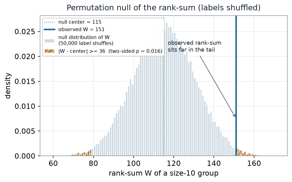 A histogram of the permutation null distribution of the rank-sum W, roughly bell-shaped and centered at 115. A dotted line marks the null center 115; a solid line marks the observed W = 151 far to the right. The two tails beyond 36 units from the center are hatched, labeled two-sided p = 0.016.