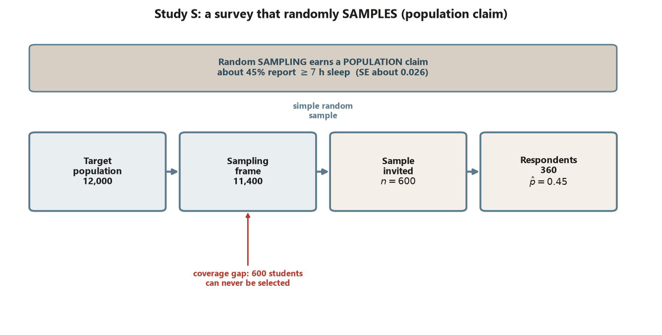 A left-to-right funnel of four boxes joined by arrows: Target population 12,000, then Sampling frame 11,400, then Sample invited n equals 600, then Respondents 360 with p-hat equals 0.45. A red note under the frame reads coverage gap 600 students can never be selected. A banner across the top reads random sampling earns a population claim, about 45 percent report at least 7 hours sleep, standard error about 0.026.