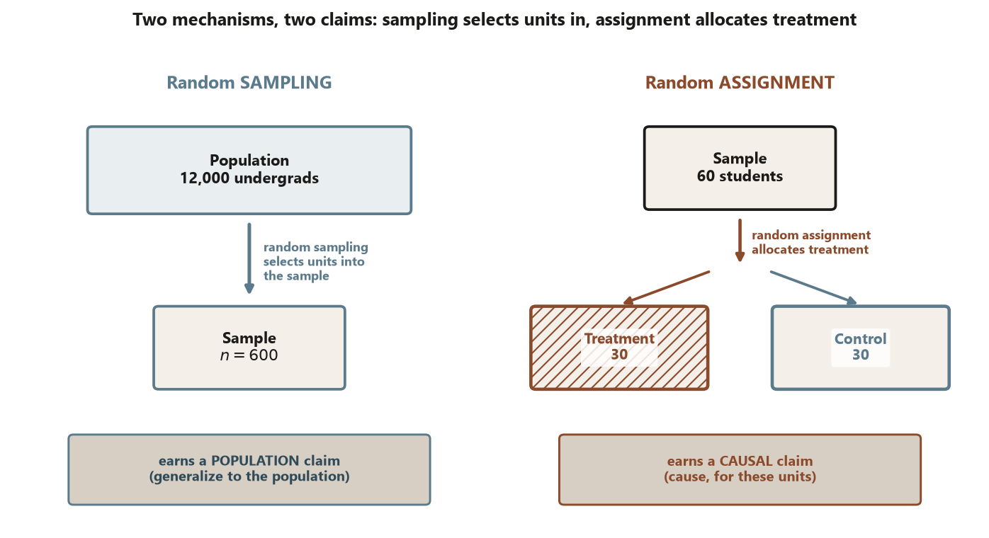 A two-panel diagram. Left panel, Random sampling: a large box labeled Population, 12,000 undergrads, with a downward arrow labeled random sampling selects units into the sample pointing to a smaller box labeled Sample, n equals 600; a banner reads earns a population claim, generalize to the population. Right panel, Random assignment: a box labeled Sample, 60 students, with a downward arrow labeled random assignment allocates treatment that splits into a hatched box labeled Treatment 30 and a box labeled Control 30; a banner reads earns a causal claim, cause for these units.