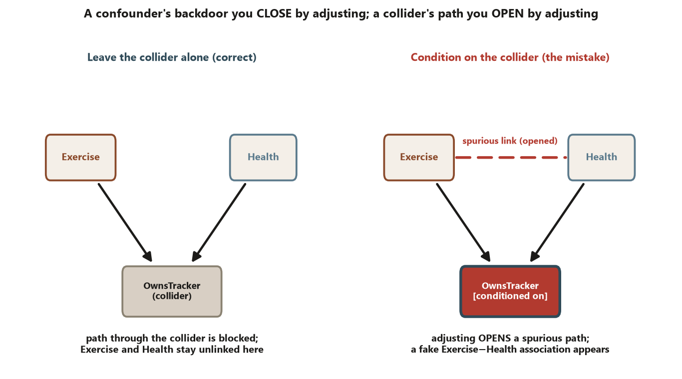 Two causal diagrams of a collider. In both, Exercise at upper left and Health at upper right each send a black arrow down into OwnsTracker at the bottom center, making OwnsTracker a common effect of the two. Left, labeled leave the collider alone, correct: there is no line between Exercise and Health, and the note says the path through the collider is blocked so the two stay unlinked. Right, labeled condition on the collider, the mistake: the OwnsTracker box is filled and marked conditioned on, and a red dashed line now connects Exercise and Health, labeled spurious link opened, with a note that adjusting opens a spurious path and a fake association appears.
