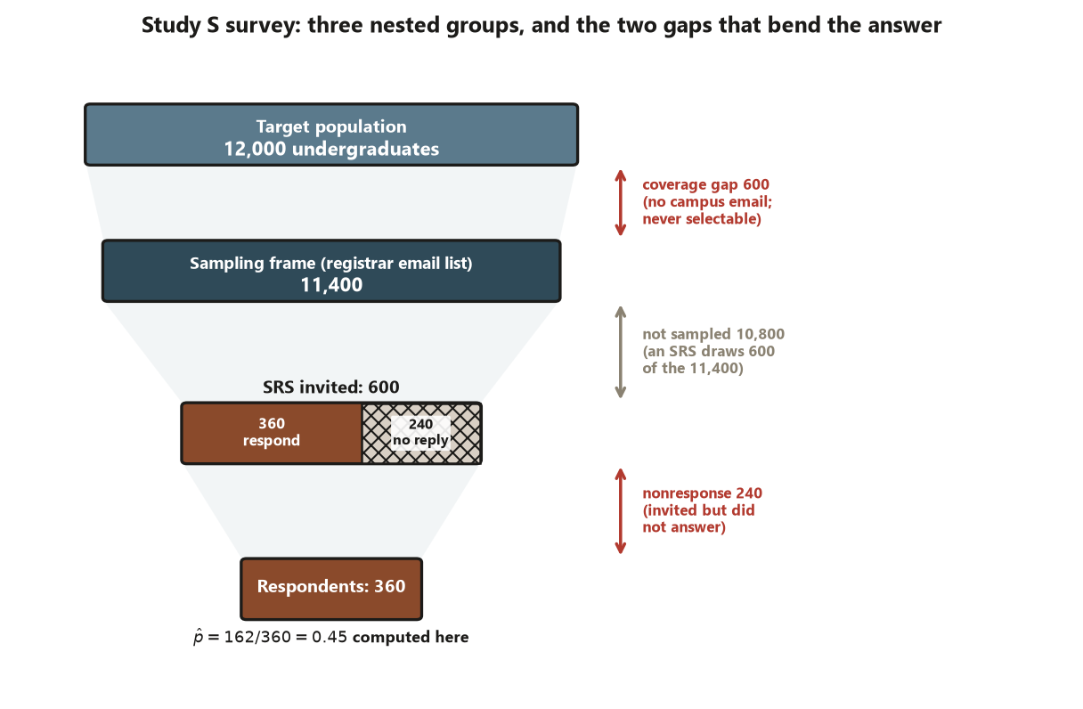 A four-tier funnel narrowing downward. Tier one, target population, 12,000 undergraduates. Tier two, sampling frame or registrar email list, 11,400; a labeled shrink of 600 between the first two tiers is the coverage gap of students with no campus email who can never be selected. Tier three, SRS invited, 600, drawn from the frame after 10,800 are simply not sampled; this tier is split into 360 who respond and 240 who do not. Tier four, respondents, 360, where p-hat equals 162 over 360 equals 0.45 is computed. The coverage gap of 600 and the nonresponse of 240 are labeled as the two threats, while the ordinary sampling reduction of 10,800 is labeled as an ordinary sampling step.