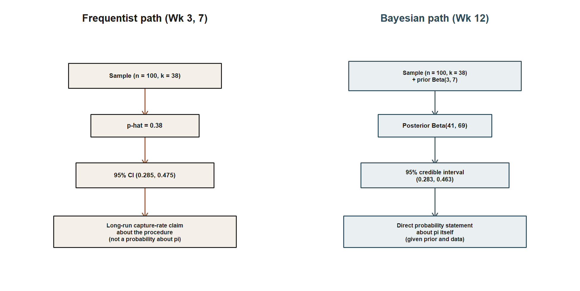 Two side-by-side vertical flow diagrams. The left panel, titled frequentist path weeks 3 and 7, flows: sample n equals 100, k equals 38; down to p-hat equals 0.38; down to 95 percent CI 0.285 to 0.475; down to a box reading long-run capture-rate claim about the procedure, not a probability about pi. The right panel, titled Bayesian path week 12, flows: sample n equals 100, k equals 38, plus prior Beta 3 comma 7; down to posterior Beta 41 comma 69; down to 95 percent credible interval 0.283 to 0.463; down to a box reading direct probability statement about pi itself, given prior and data.