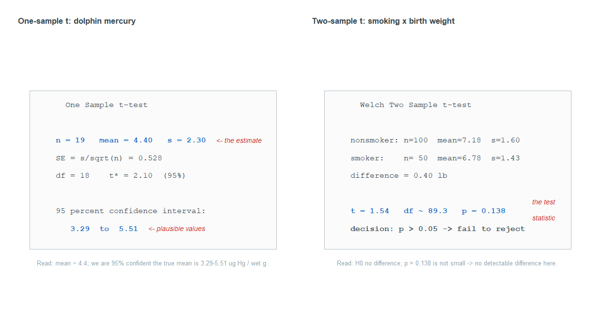 Two mock software output boxes side by side. The left box headed One Sample t-test lists n equals 19, mean equals 4.40, s equals 2.30, SE equals 0.528, df equals 18, t-star equals 2.10 at 95 percent, and a 95 percent confidence interval 3.29 to 5.51, with red callouts pointing to the estimate and the plausible-values interval. The right box headed Welch Two Sample t-test lists nonsmoker n 100 mean 7.18 s 1.60, smoker n 50 mean 6.78 s 1.43, difference 0.40 pound, then t equals 1.54, df about 89.3, p equals 0.138, and a decision line that p greater than 0.05 means fail to reject.