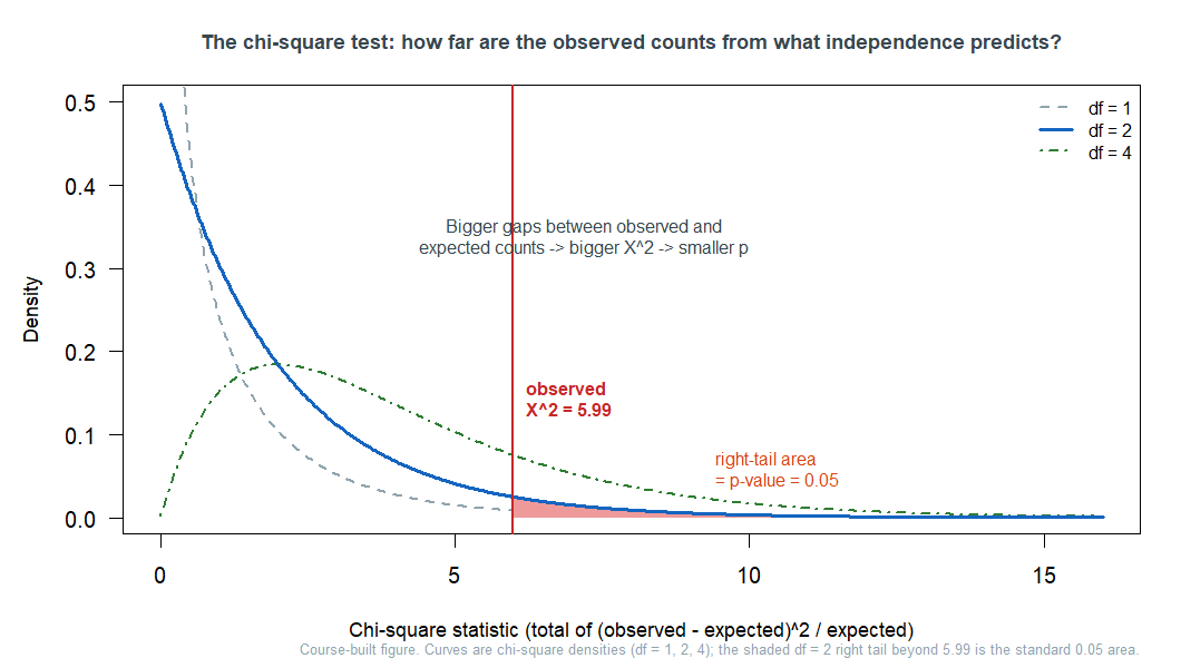 Chi-square density curves for degrees of freedom one, two, and four, all right-skewed and positive. On the df-two curve a vertical line marks an observed chi-square of 5.99 and the area to the right is shaded as the p-value equal to 0.05. Text notes that bigger observed-minus-expected gaps give a larger chi-square and a smaller p-value, and that the p-value is the right-tail area.