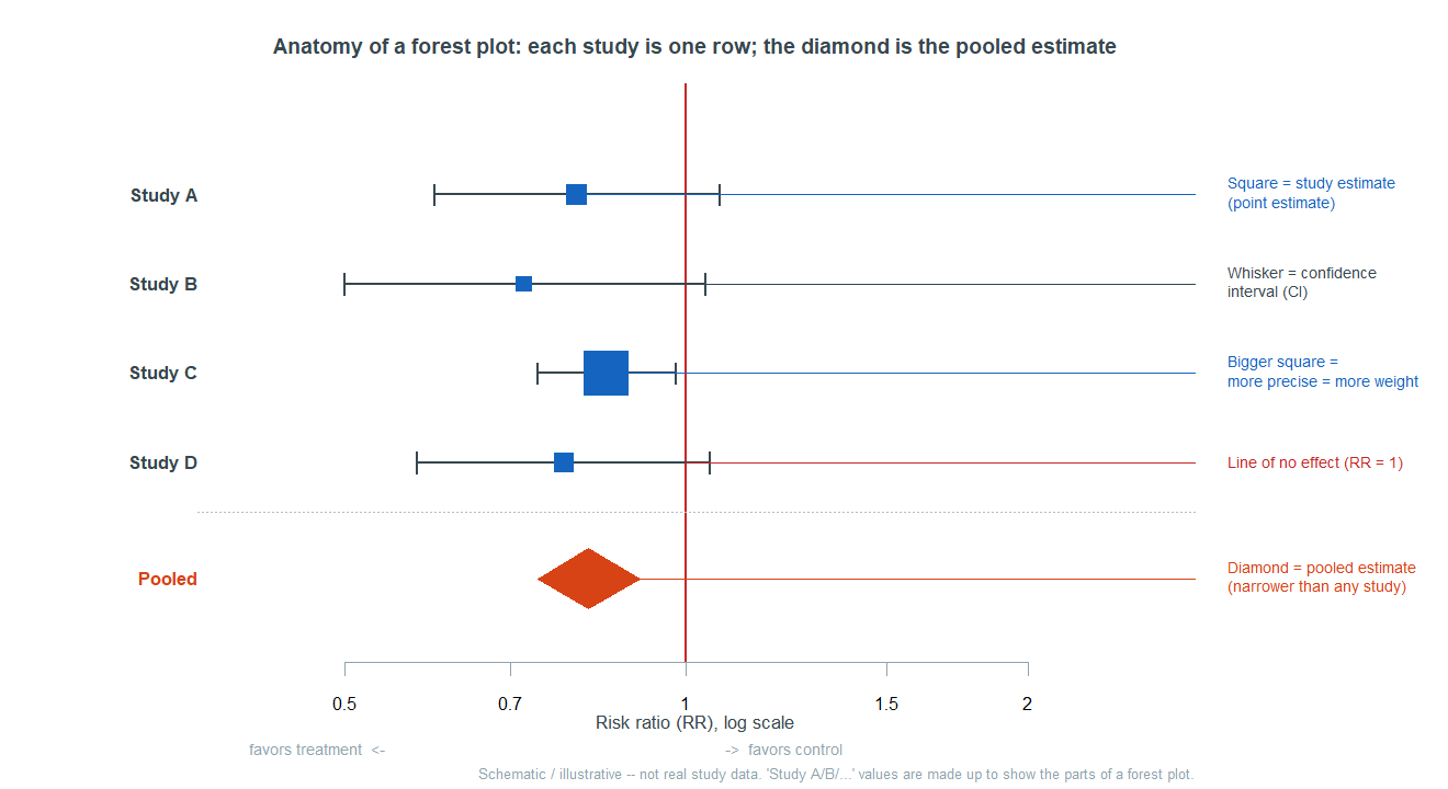 A forest plot on a risk-ratio log scale from 0.5 to 2 with a red vertical line of no effect at risk ratio 1. Four studies A to D are rows, each a blue square at its estimate with a horizontal confidence-interval whisker; Study C's square is larger. At the bottom an amber diamond labeled Pooled. Right-side callouts: square equals study estimate, whisker equals confidence interval, bigger square equals more precise and more weight, vertical line equals line of no effect at risk ratio 1, diamond equals pooled estimate narrower than any study. Labeled schematic, not real study data.